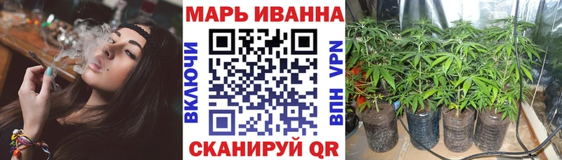 МАРИХУАНА SATIVA & INDICA Черноголовка